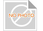 주문 700–1250mm PPGI / PPGL 사전 도장 강판 코일 (지붕, 건축, 가전제품 패널용 25±5μm 상부 코팅 포함) online manufacture